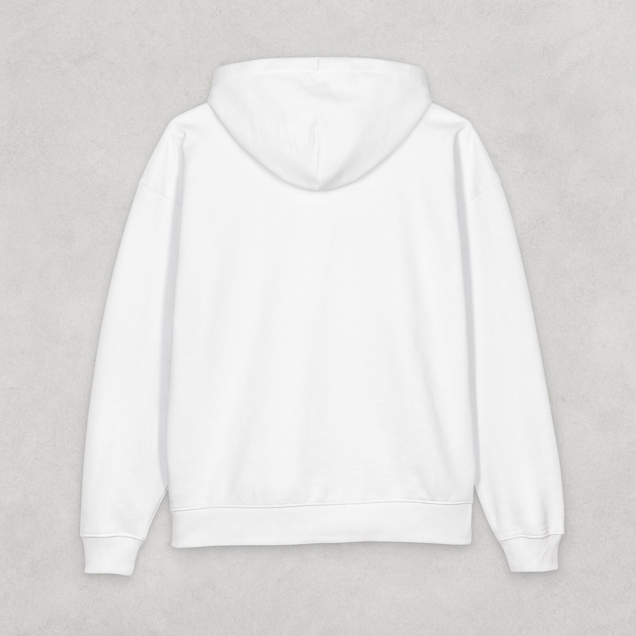 Back to the Scriptures Hoodie