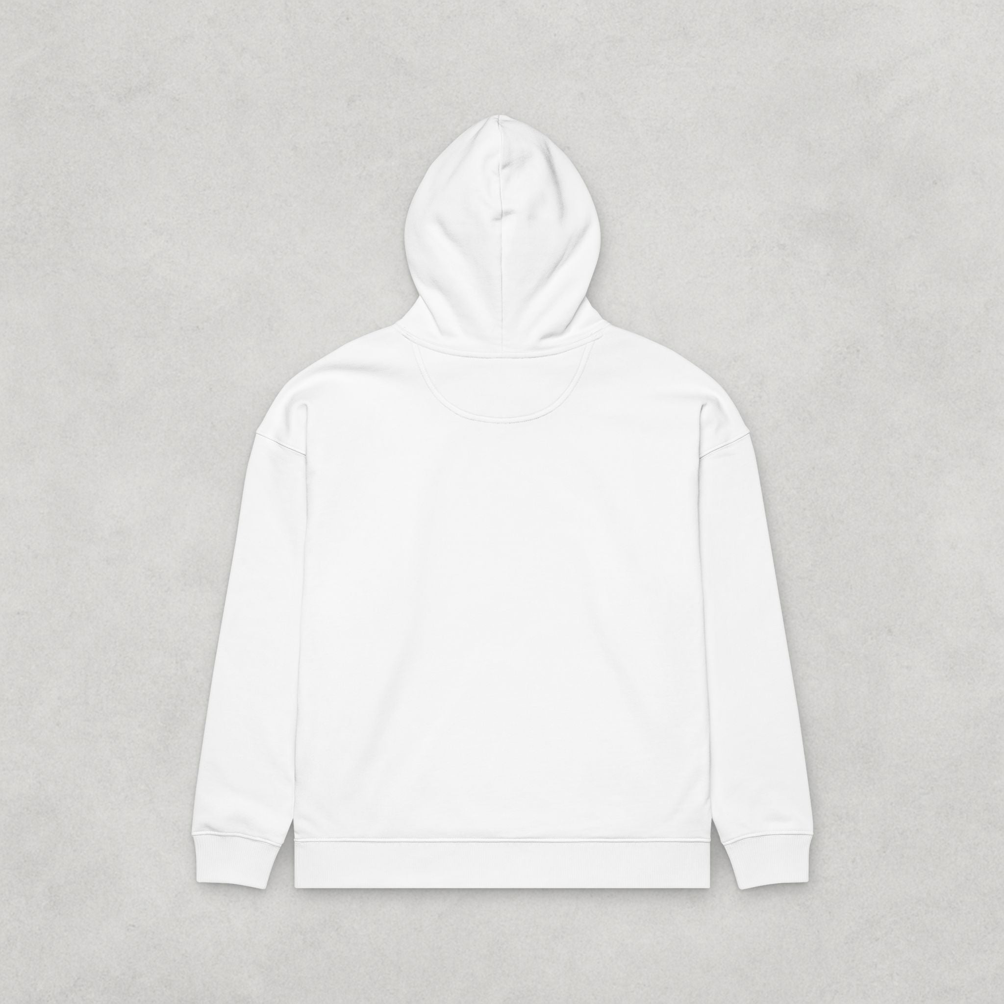 Back to the Scriptures Hoodie
